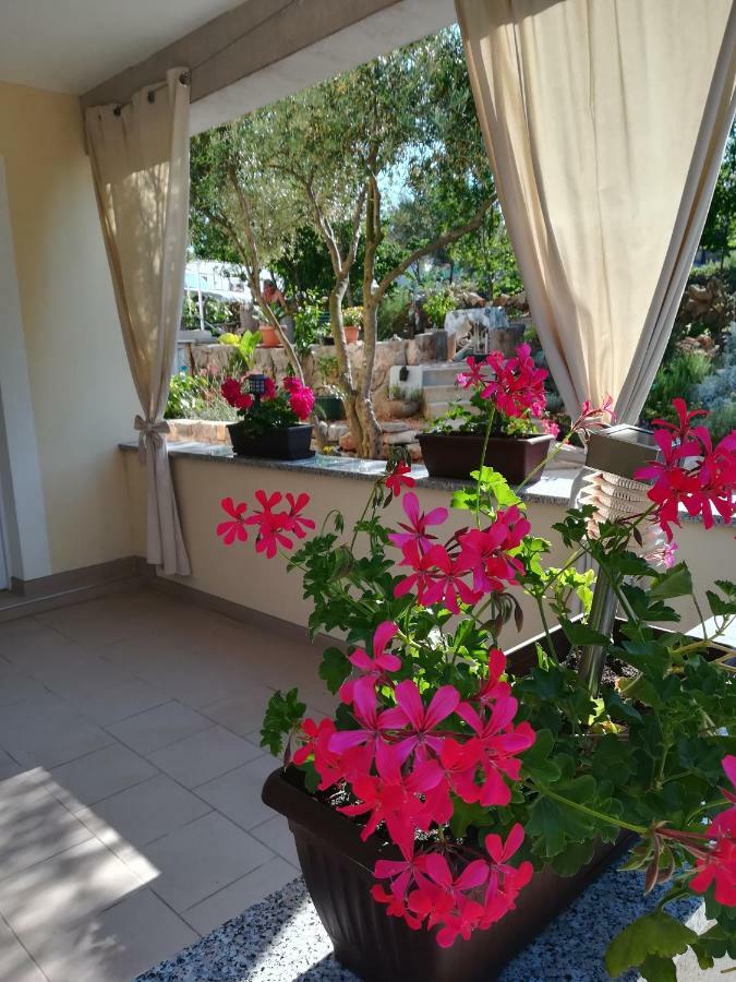 Apartments Olea Pinezici  Ngoại thất bức ảnh